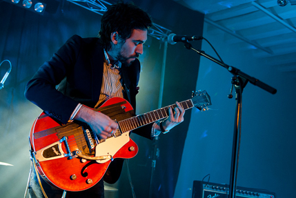 the wombats